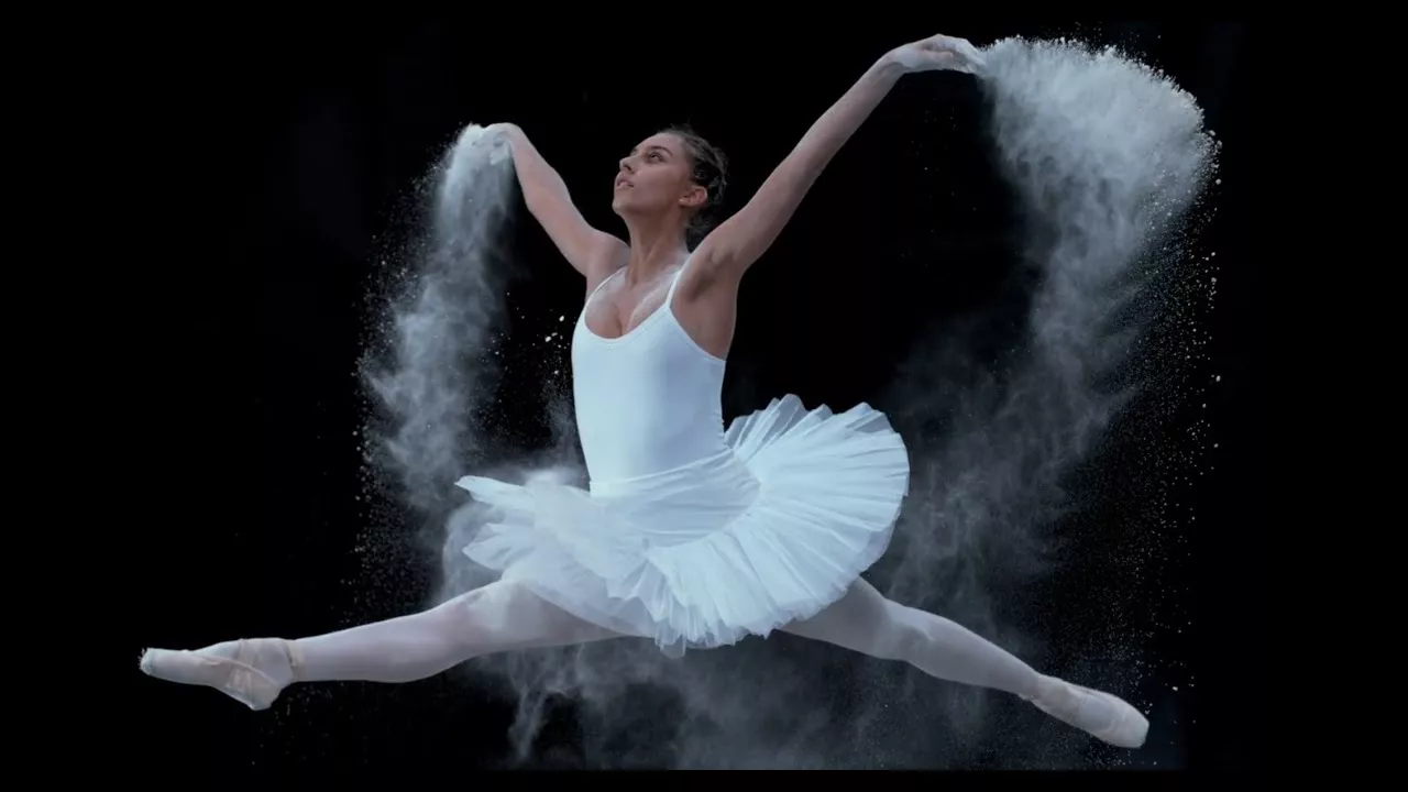 ANDRE - BIAŁE ŁABĘDZIE 2022