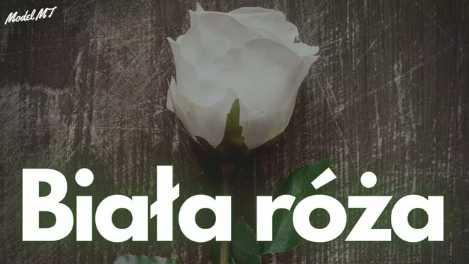 Arek Kopaczewski - Biała róża