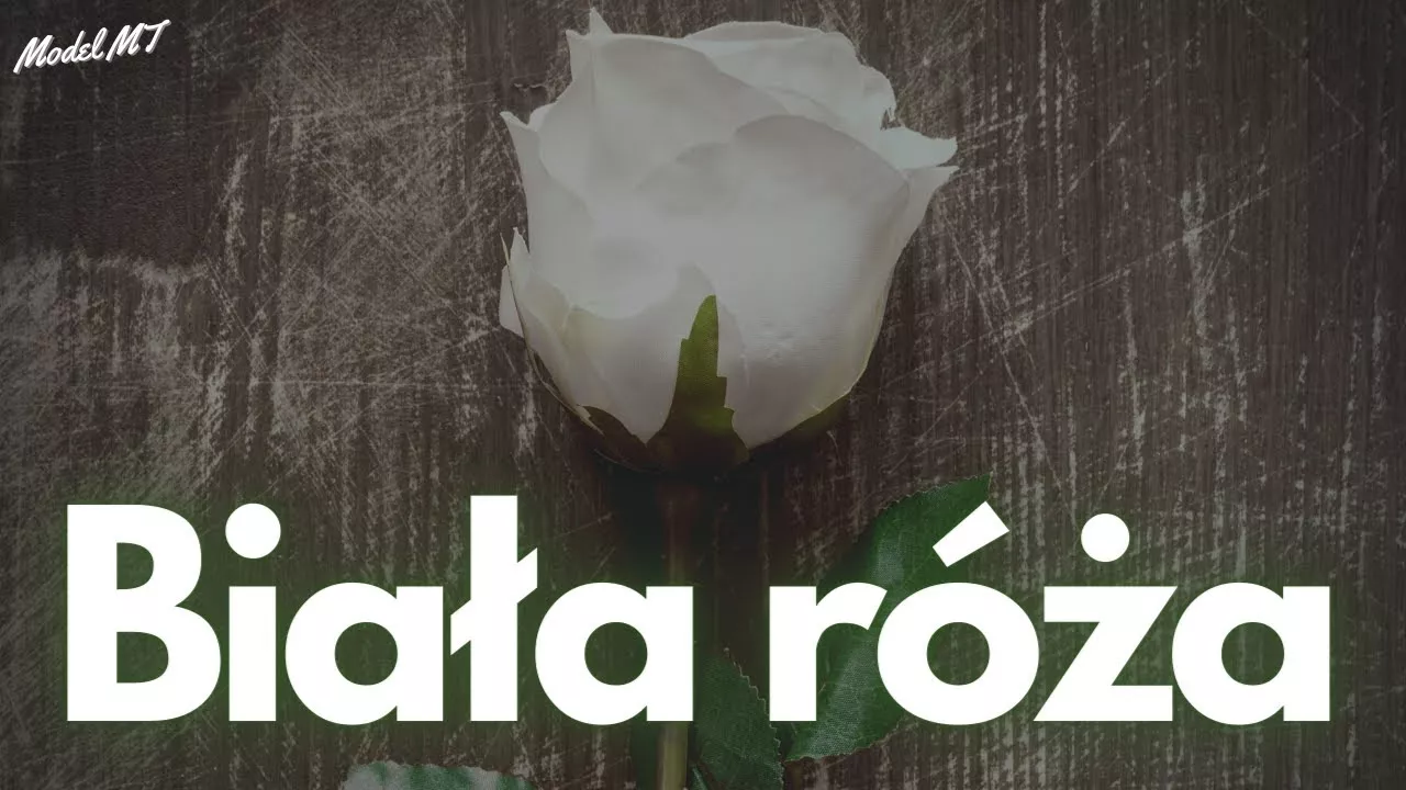 Arek Kopaczewski - Biała róża