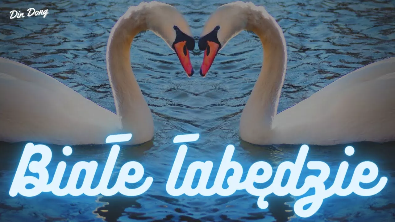 Arek Kopaczewski - Białe łabędzie