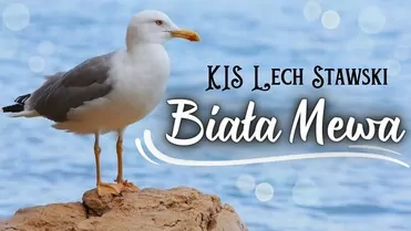 Arek Kopaczewski & Loki - Biała mewa (z rep. KIS LECH STAWSKI)