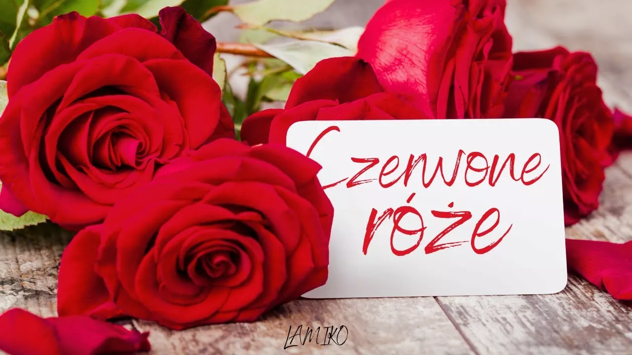 Arek Kopaczewski & Loki - Czerwone róże (z rep. LAMIKO)