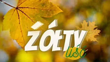 Arek Kopaczewski & Loki - Żółty liść