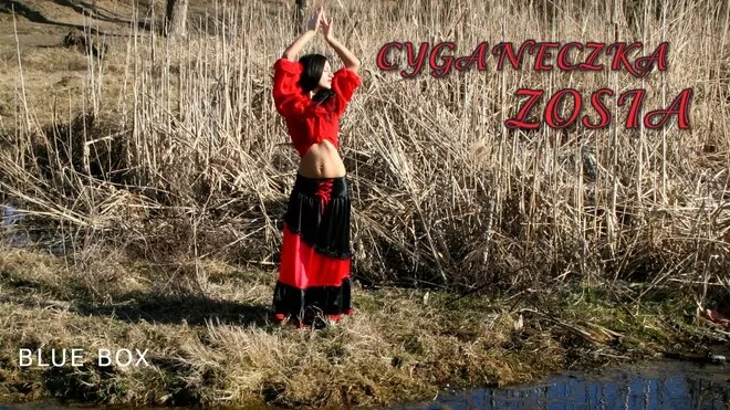 BLUE BOX - Cyganeczka Zosia (cover)