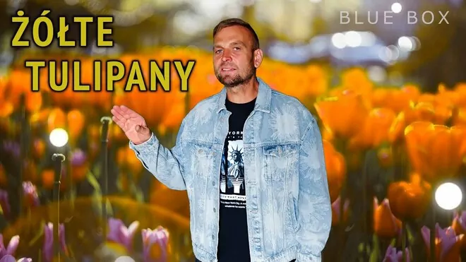 BLUE BOX - Żółte tulipany