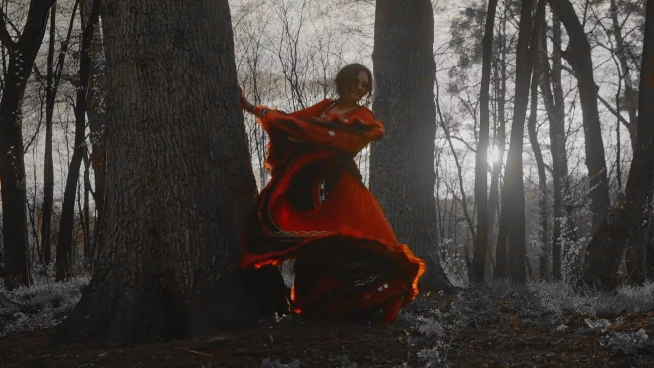 Cygańskie Gitary - Życie Cygana