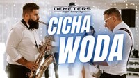 DEMETERS - CICHA WODA (Live 2026 Żołynianka)
