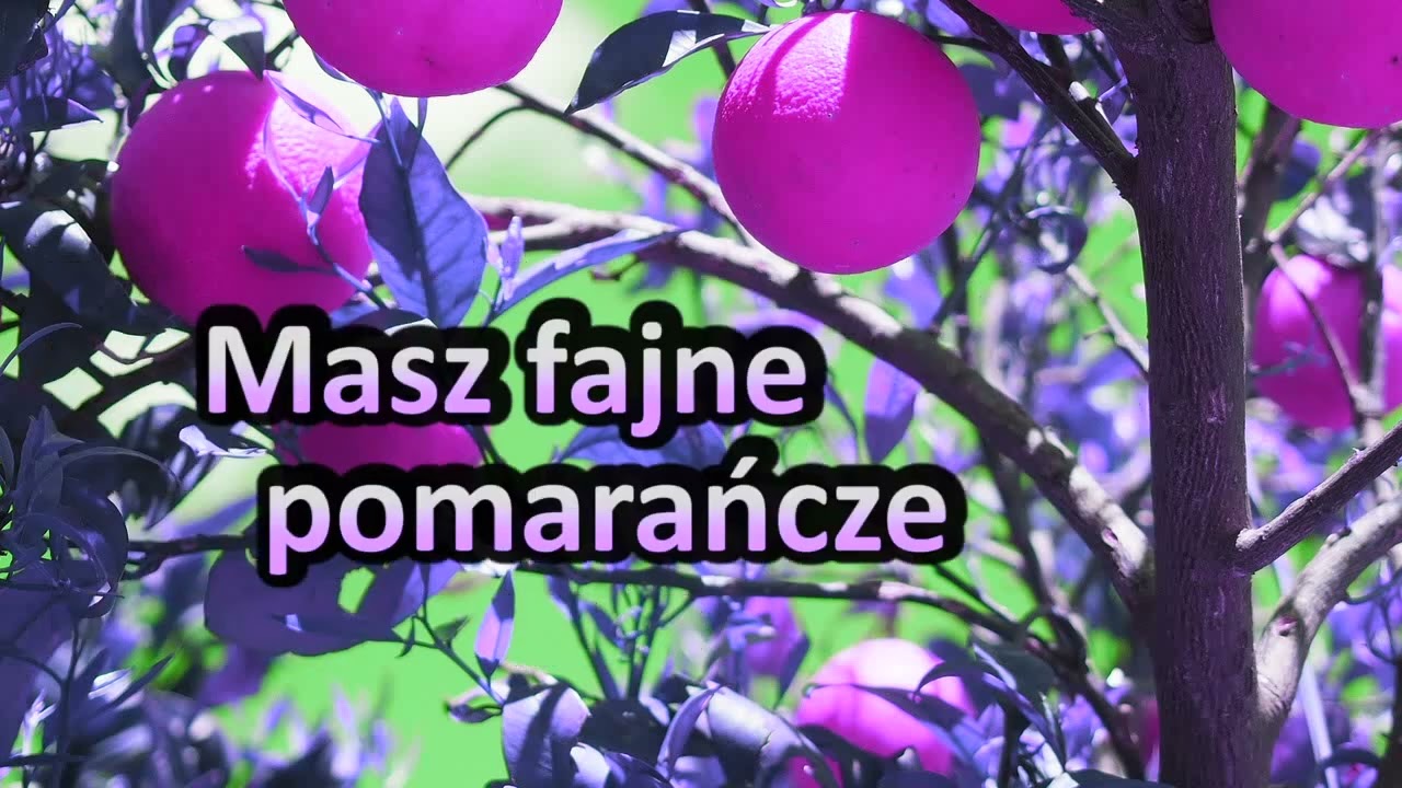 DJ Farad & AI - Masz fajne pomarańcze