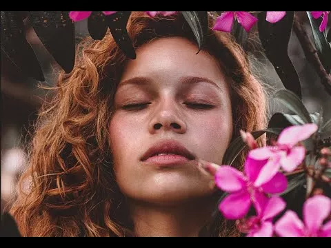 Grupa Amora - Biała Róża