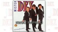 Mister Dex - Kwiat paproci