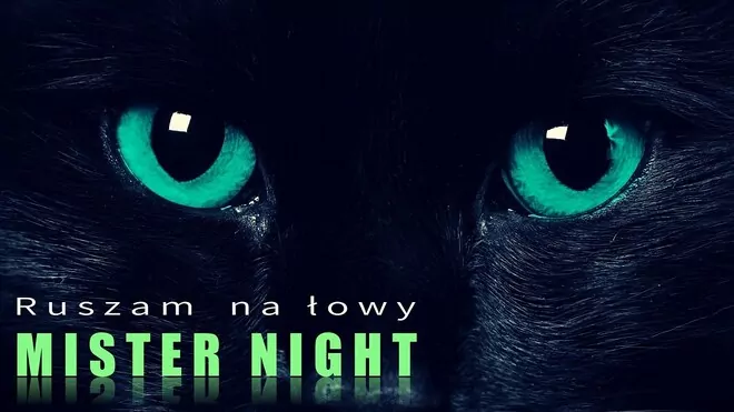 Mister Night - Ruszam na Łowy