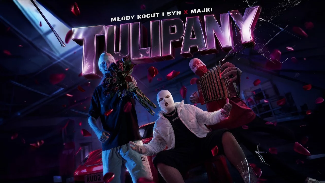 Młody Kogut i Syn X Majki - Tulipany