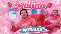 MORALES - MALINA