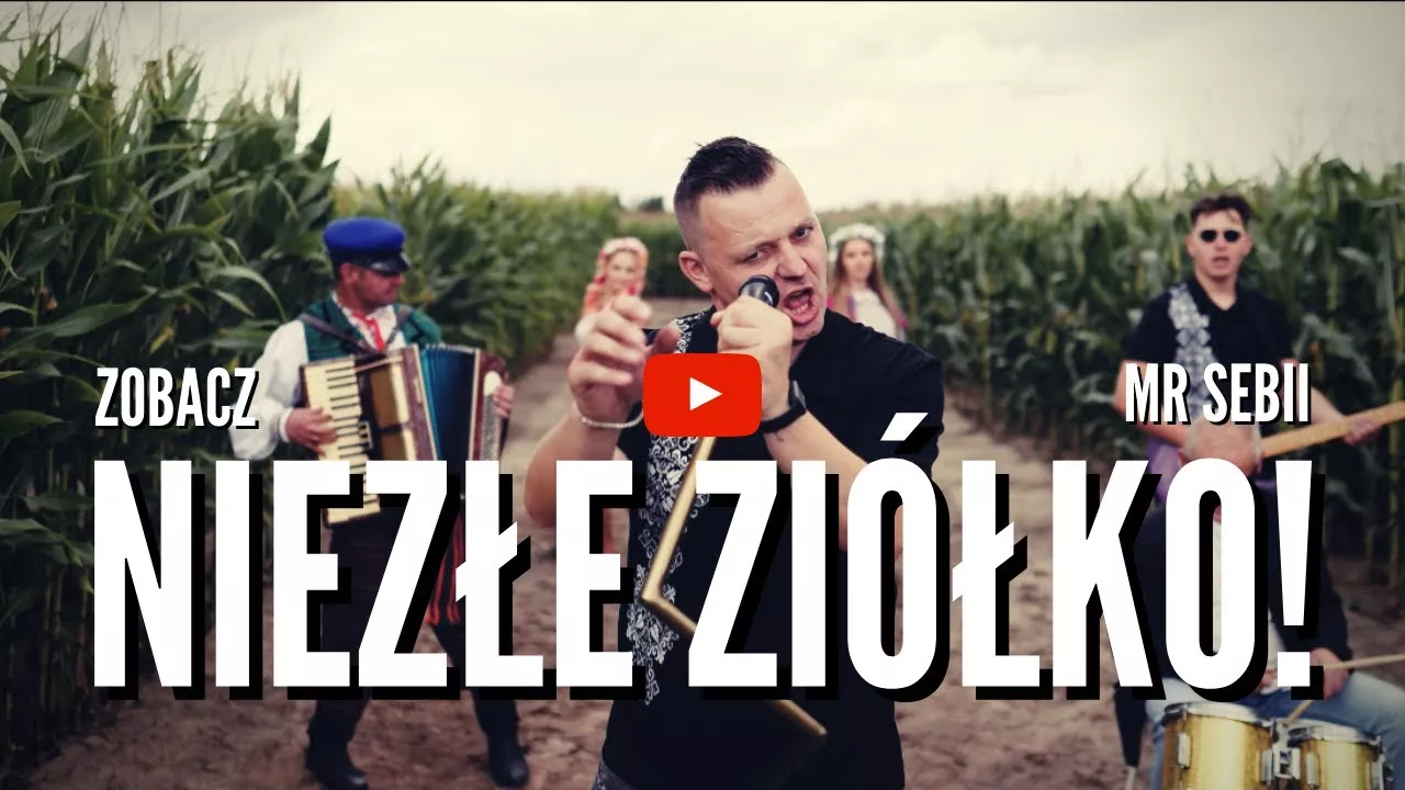 MR SEBII - NIEZŁE ZIÓŁKO