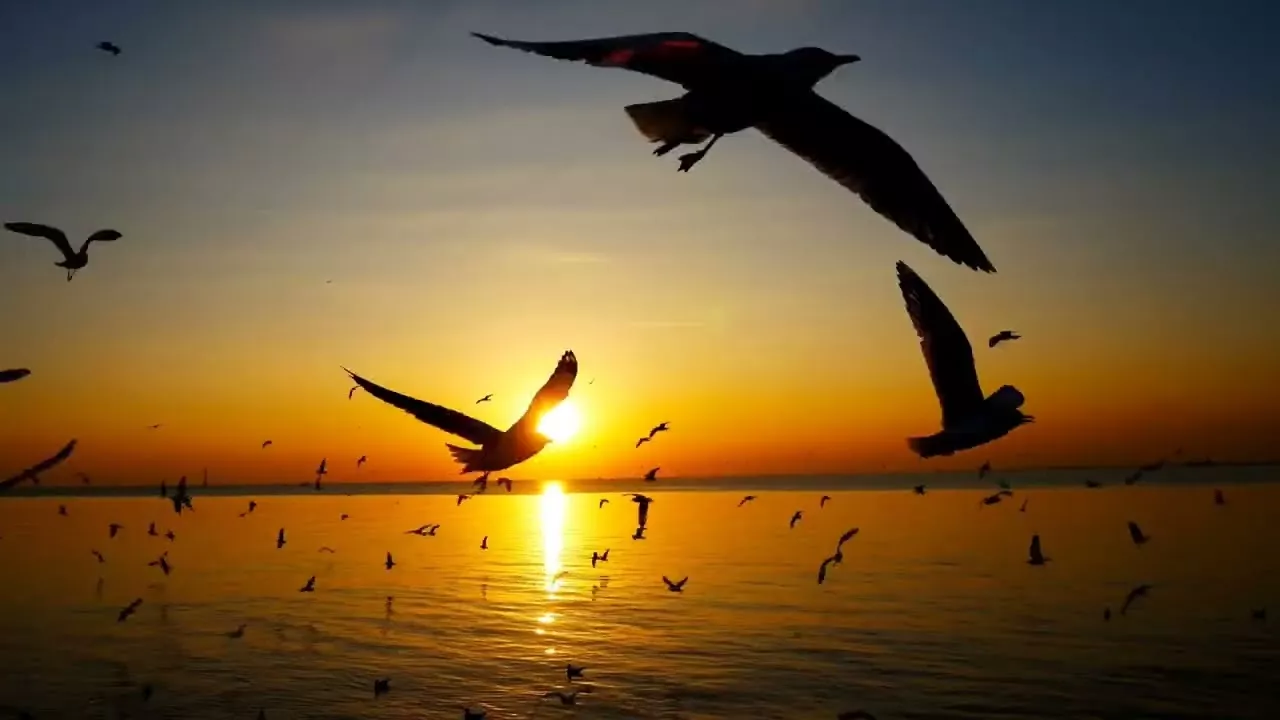 Never - Tylko Ciebie Chcę