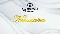 Pan Mareczek Cyborg - Niewiara (Piękni i Młodzi Dawid Narożny Cover)