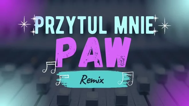 PAW - Przytul Mnie (Remix Borys LBD)