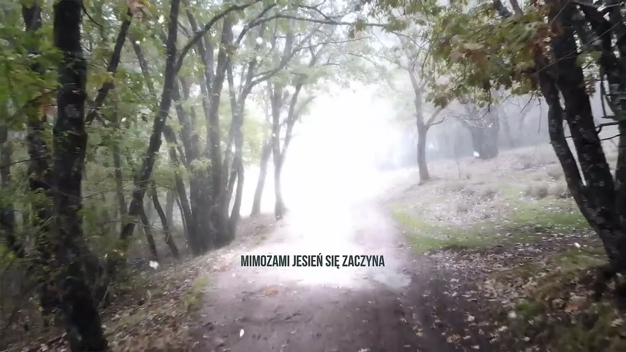 Raf Z - Mimozami jesień się zaczyna