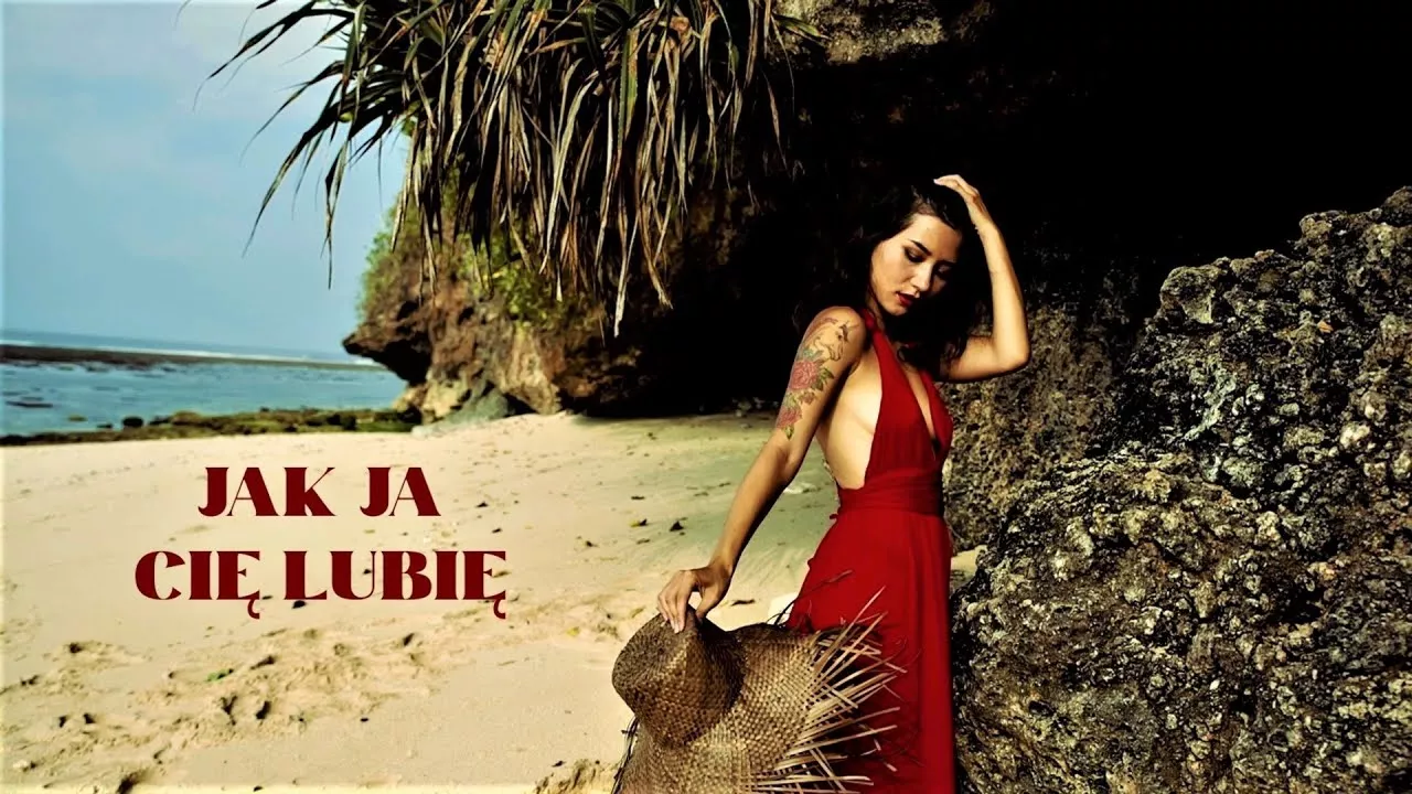 Robson W - Jak Ja Cię Lubię (Dance 2 Disco Remix)