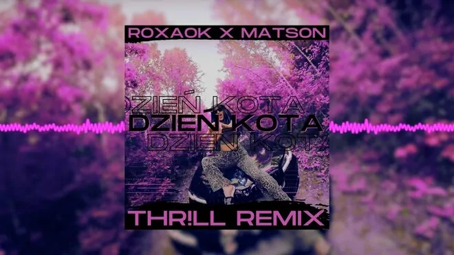 Roxaok X Matson - Dzień Kota (Thr!Ll Remix)