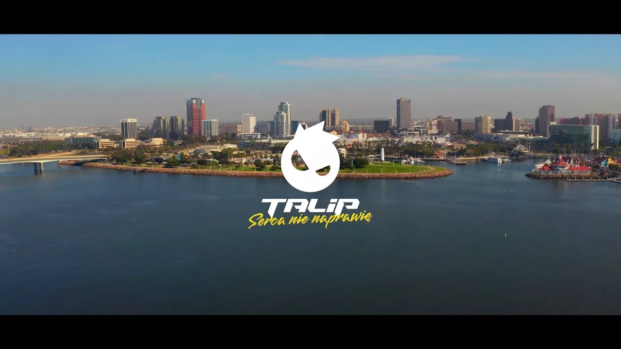 TALIP - Serca nie naprawię