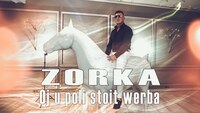 ZORKA - Oj u poli stoit werba