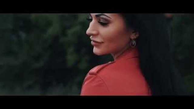 Alex - Wspólny Ląd