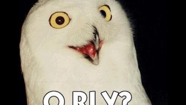 PORANNE WYJCE - SOWA W LESIE MIESZKA [TOP GIRLS PARODIA]