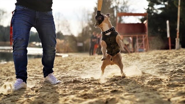 #bezdwóchzdań feat. Kucharz - Robimy Grilla