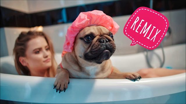 MACZO - Jedwabiste włosy (Tr!Fle & LOOP & Black Due Remix)