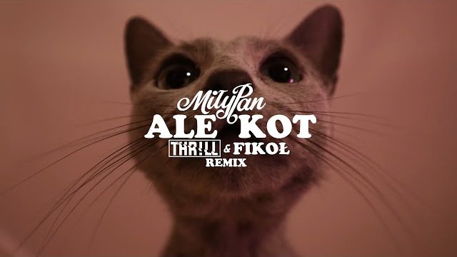 MiłyPan - Ale Kot (THR!LL & FIKOŁ REMIX) 2020