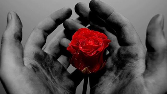 XFORT - SPEŁNIONE MARZENIA