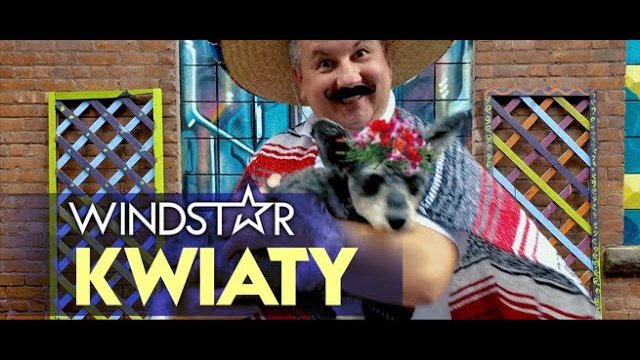 WINDSTAR - KWIATY