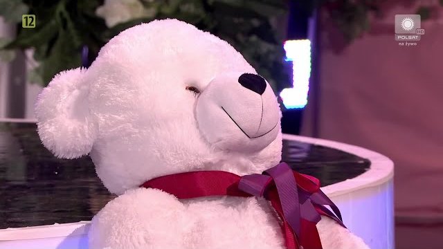 Boys - Biały miś - Festiwal Weselnych Przebojów 2020