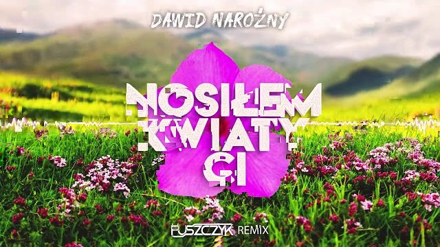 Dawid Narożny - Nosiłem Kwiaty Ci (Puszczyk Remix)