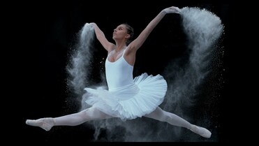 ANDRE - BIAŁE ŁABĘDZIE 2022