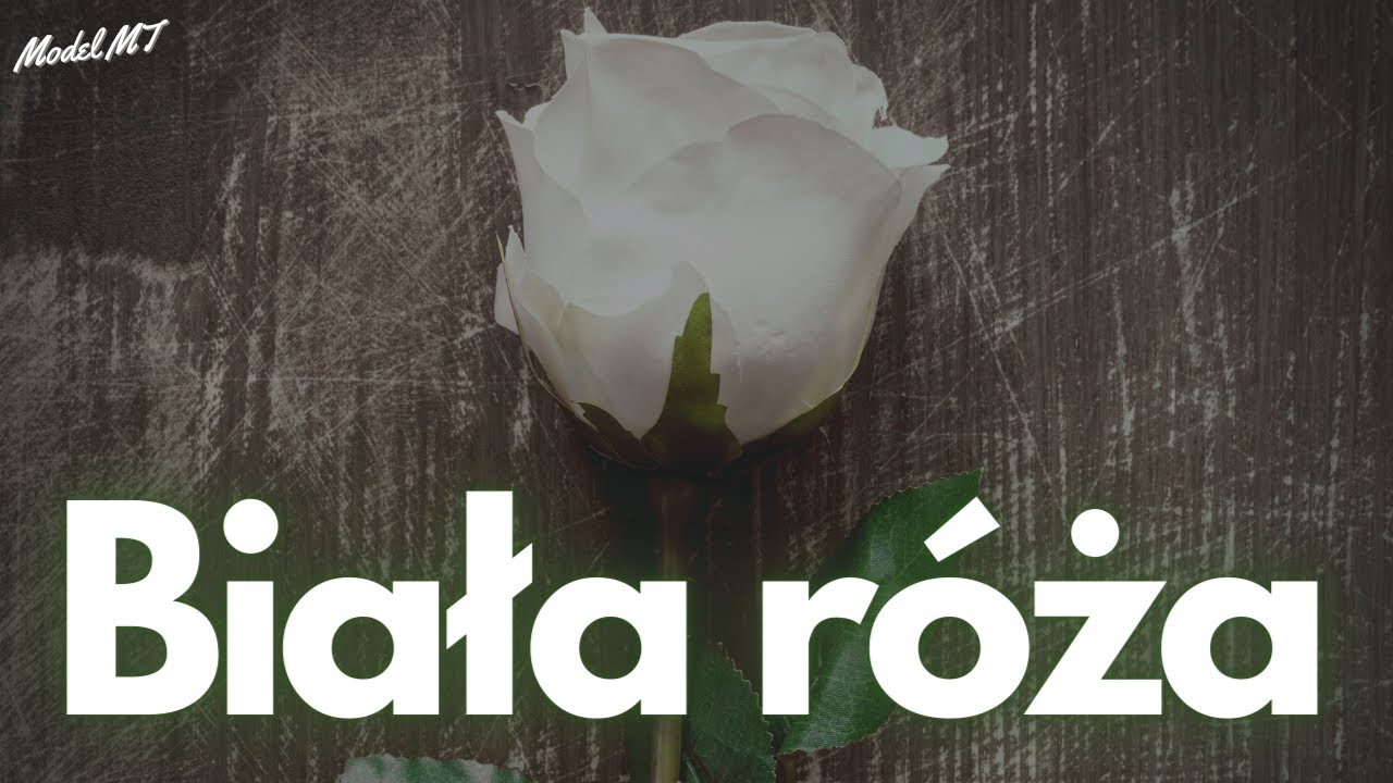 Arek Kopaczewski - Biała róża