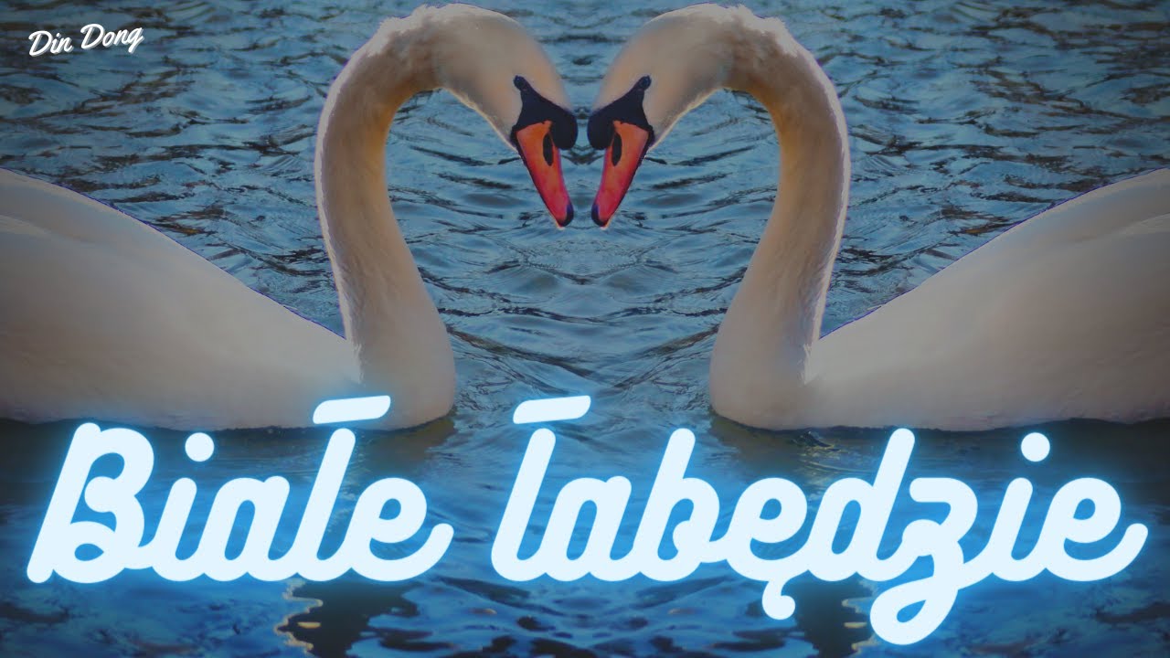 Arek Kopaczewski - Białe łabędzie