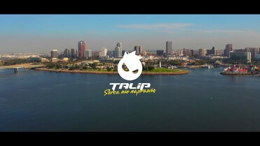 TALIP - Serca nie naprawię